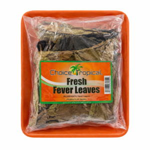 Choice Tropical Fresh Fever Leaves